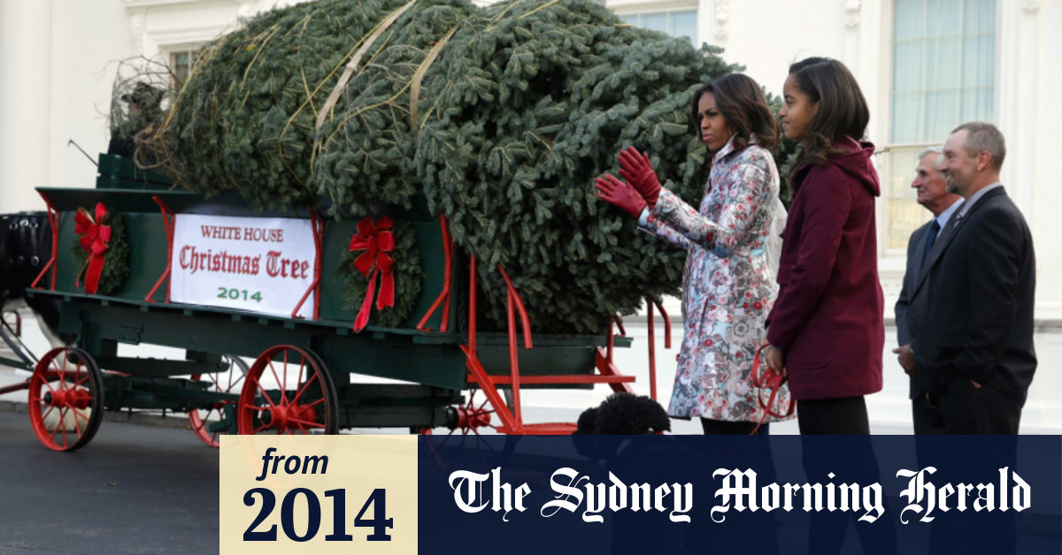 Christmas tree arrives at White House